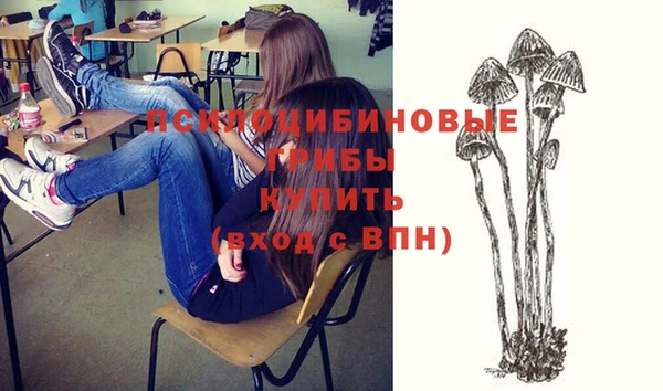 дурь Аркадак