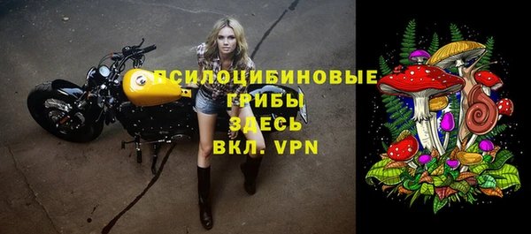 дурь Аркадак