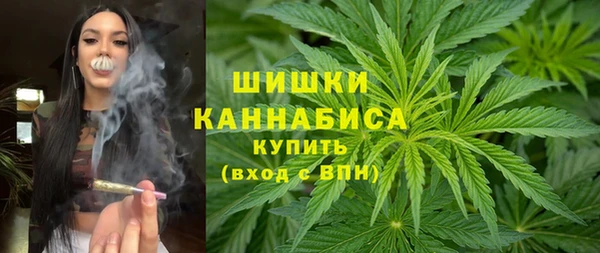 ешки Арсеньев