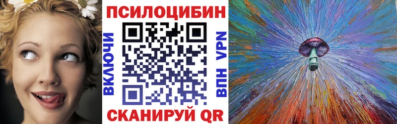 наркота Мглин Галлюциногенные грибы Magic Shrooms